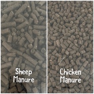 Organic Chicken/Sheep Manure Fertilizer / 有机(鸡/羊粪)肥料