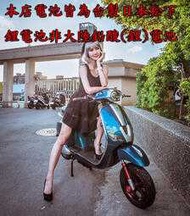 (倍特能電動車) 大偉士 R56  EP-8  DARLIN 免駕照14歲可騎可掛牌 電動自行車 新北市 台北市