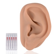 Acupuncture Ear Model, Left Artificial Ear Replica for Auricular Therapy Teaching, Silicone Ear Simu