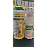300GM Elestal 54WG & FOC Hasten 500ml