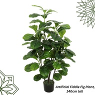 Artificial Plant Fiddle Fig Plant, faux plant, fake plant, home decor, events, garden Aplant842