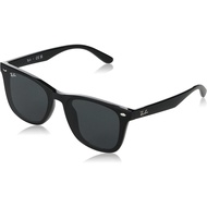Ray-Ban RB4391D 601/87 Unisex Casual Sunglasses, Black 65, 601/87 BLACK #2【 Direct from Japan 】