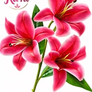 Rubber cup branch with 3 large, even flowers