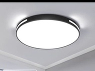 LED吸頂客廳燈睡房燈2023年新款現代簡約圓形燈具 24W 直徑30cm