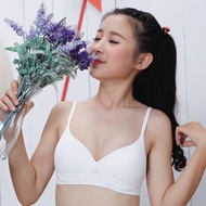 YOUNG CURVES TRIANGLE SEAMLESS BRA C02-100032