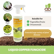 STARX Liquid Copper Fungicide (500ml) Spray | Controls Powdery Mildew, Black Spot, Leaf Spots | Plan
