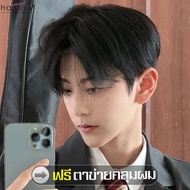 วิกผมสั้น Short wig สไตล์เกาหลี วิกผมสั้นผู้ชาย วิกผมทรง วิกผมชายเกาหลี วิกผมชาย วิกผมผู้ชาย แฮร์พีช