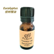 OLIVA Essential Oil Eucalyptus 100ml 桉树精油