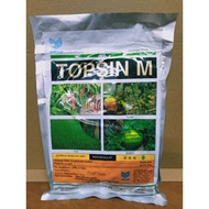 TOPSIN M 500g RACUN KULAT FUNGICIDE