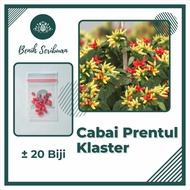 20 Bibit Cabe Rawit Prentul Klaster Benih Sayur Cabai Buah Bergerombol