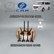 ORIGINAL JOYLONG/PLACER X 2.5（DK4）ENGINE INTAKE VALVE（8 PCS）
