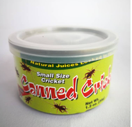 Ready stock 35g Cengkerik Tin / Canned Crickets