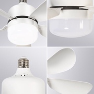 Modern Ceiling Fan 22 Inch Socket Ceiling Fan E26 E27 Ceiling Fan Lamp