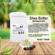 Shea Butter เชียร์บัตเตอร์ 100% ขนาด 1 ปอนด์ บำรุงผิวและผมให้เนียนนุ่ม ชุ่มชื้น เชียร์