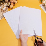 10Pcs Fursuit Eye Mesh11.8x8.6 Inch Black Costume Eye Net 0.5mm PVC Dust Mesh Plastic Mesh Sheet for