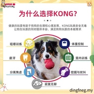 Kong Wild Knots Bear Small/Medium Size (NKR3)