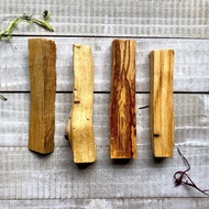 ไม้ Palo Santo | ไม้ศักดิ์สิทธิ์จากเปรู