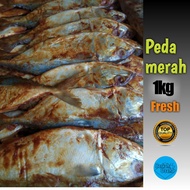 MERAH Salted Fish Red PEDA 1KG Salted Fish/Dried Fish Chlorotok PEDA Anchovy Dried Anchovy Fish JENGKI Anchovies MEDAN SUPER Anchovy Anchovy Rice Salted Beef Cork Salted Squid Dried Salted Squid/Dry Salted Squid Anchovy Squid/Dry Salted Squid//Anchovy Sal