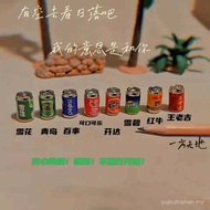 Scene Model Simulation Miniature Miniature Mini Qingdao Snowflake Beer Cola Sprite Red Bull King Lao