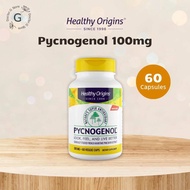 Healthy Origins Pycnogenol 100mg (60cap) พิคโนจีนอล สารสกัดเปลือกสนฝรั่งเศส
