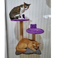 Glass-Mounted Condo/Small Cat Condo ****