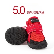 Dog Shoes Dog Shoes Pet Shoes Dog Shoes Dog Shoes Pet Shoes Dog Shoes Medium-Sized Dog Shoes Small D