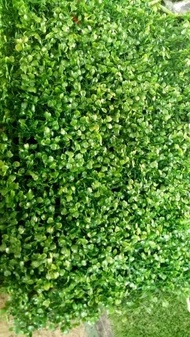 Daun Sintetis Artificial Hijau ukuran 60 x 40 untuk dinding dan vertical garden