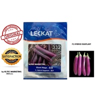 LECKAT F1 HYBRID SUPER NAGA 332 EGGPLANT / BERNIH TERONG PANJANG (10G)