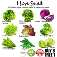 Biji Benih Sayur Sayuran Vegetable Seed Benih Sayur Salad Lettuce Sawi Bayam Pokok Bunga Tanah Baja Tray Soil Hydroponic