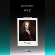 Zadig by Voltaire [book]
