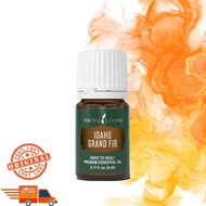 Young Living YL Idaho Balsam Fir 5ml/15ml (a.k.a Idaho Grand Fir) Essential Oil
