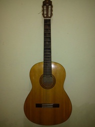 Gitar Akustik Yamaha G315