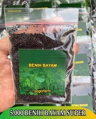 BENIH BAYAM SUPER 5.000 BENIH | SAYUR BAYAM | 100% BAYAM SUPER  BAYAM