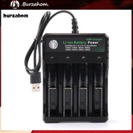 BUR_ Universal Smart Rechargeable Li-ion Battery Charger for 18650 18500 16340 14500