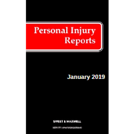 Personal Injury Reports 2019