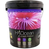 D-D H2Ocean Classic Formula Salt