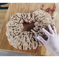 Wood Craft - Decoration Drift wood