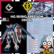 EVO DECAL HG RISING FREEDOM DECAL