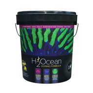 D-D H2Ocean Dosing Formula Salt 23kg