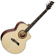 NG Northerly Gale Guitar GT500 GT-series Acoustic Guitar for Beginner