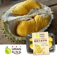 食神 - Durian King - 馬來西亞極品D197貓山王榴槤果肉 #無添加#齒頰留香#入口即融(急凍)(隨機包裝)(到期日:1/2/2025或之前)