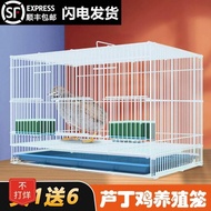 Small Chicken Cage Indoor Chicken Young Chicken Household Quail Little Yellow Duck Cole Duck Breedin