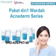 Paket Murah 4in1 Anti Acne Wardah Acnederm Series Ori