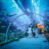 Aquaria KLCC Direct Entry Ticket with Discounted Family Combo | Kuala Lumpur