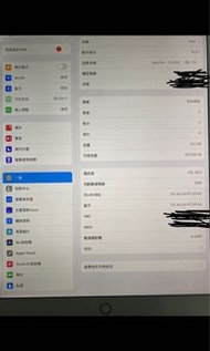 IPad Pro 12.9 第二代 512gb 4g版