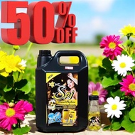 Nước giặt HC SPJ 6in1 đậm đặc can 5 lít  Hương Hoa Cúc Trắng Ngọt Ngào