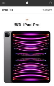 iPad Pro 12.9” 512gb 4代 Wi-Fi
