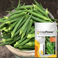 Benih Bendi Okra Ten Brothers OK10 (50g)