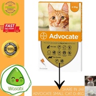 REPACK ADVOCATE CAT KITTEN - SMALL CAT FLEA MEDICINE 0-4KG