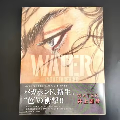 Vagabond Artbook Water Miyamoto Musashi Inoue Takehiko Kodansha Illustration Collection Painting Alb